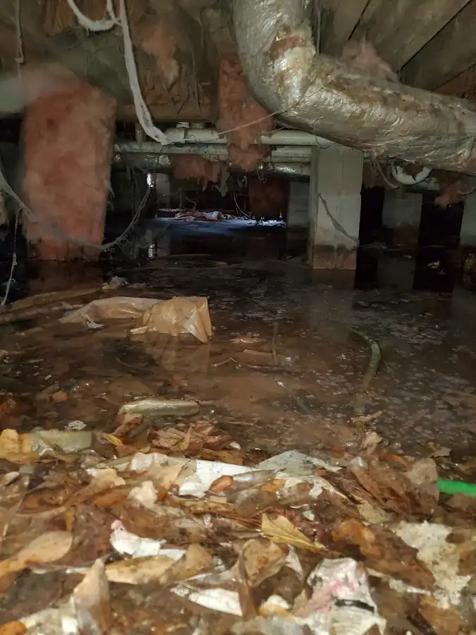 Crawl space flood assessment for Leak Detection & Repair in Lindon